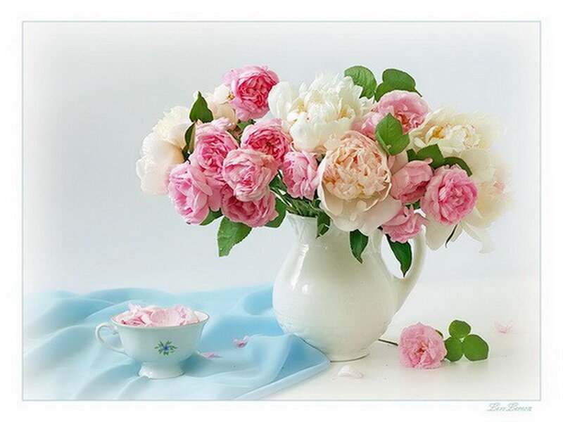 Peony Bouquet in Vase — Pink, Serene, Photograph, Teacup