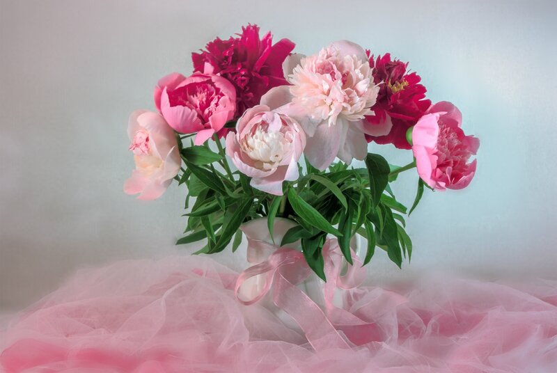 Peony Bouquet in Vase — Pink, Serene, Photograph, Tulle
