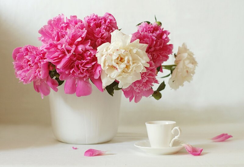 Peony Bouquet in Vase — Pink, Serene