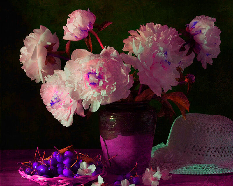 Peony Bouquet in Vase — Purple