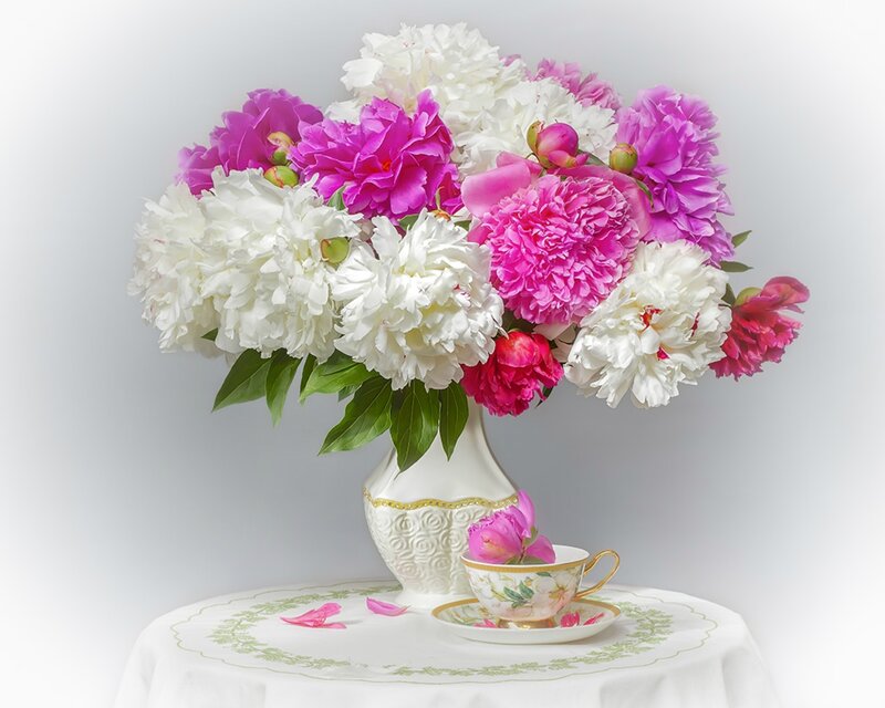 Peony Bouquet in Vase — White, Serene, Photograph, Teacup