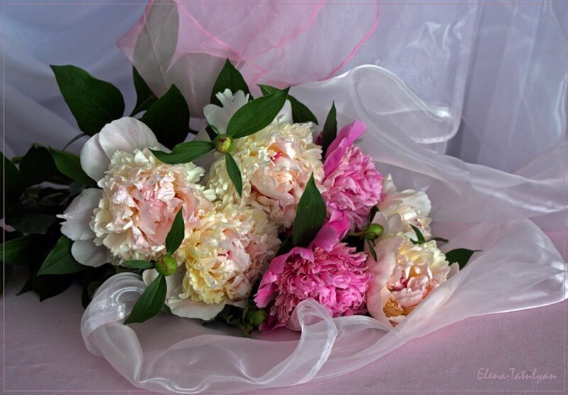 Peony Bouquet