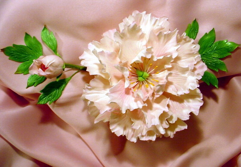Peony Flower and Bud