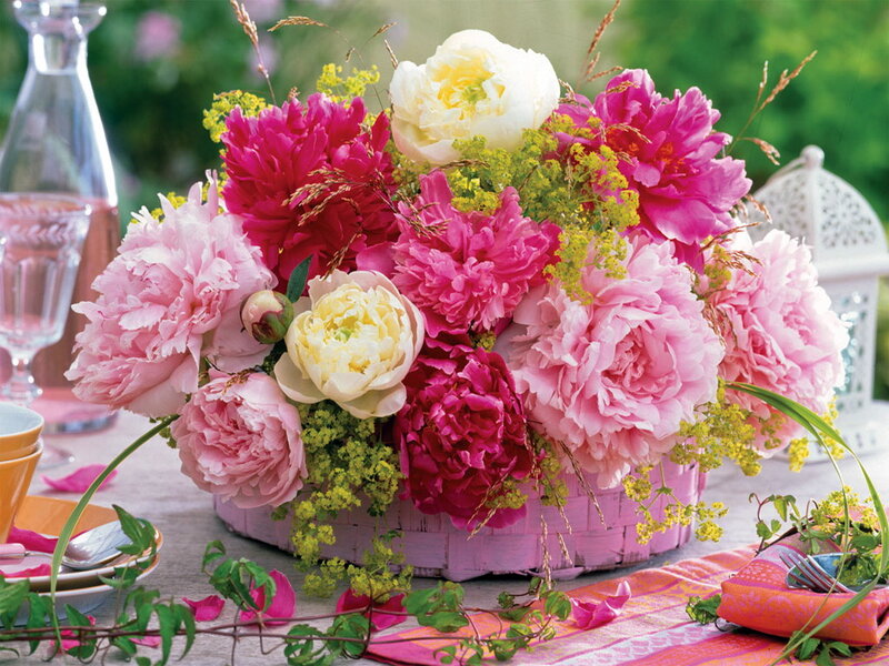Peony Flower Arrangement — Pink, Festive, Afternoon, Photograph, Basket