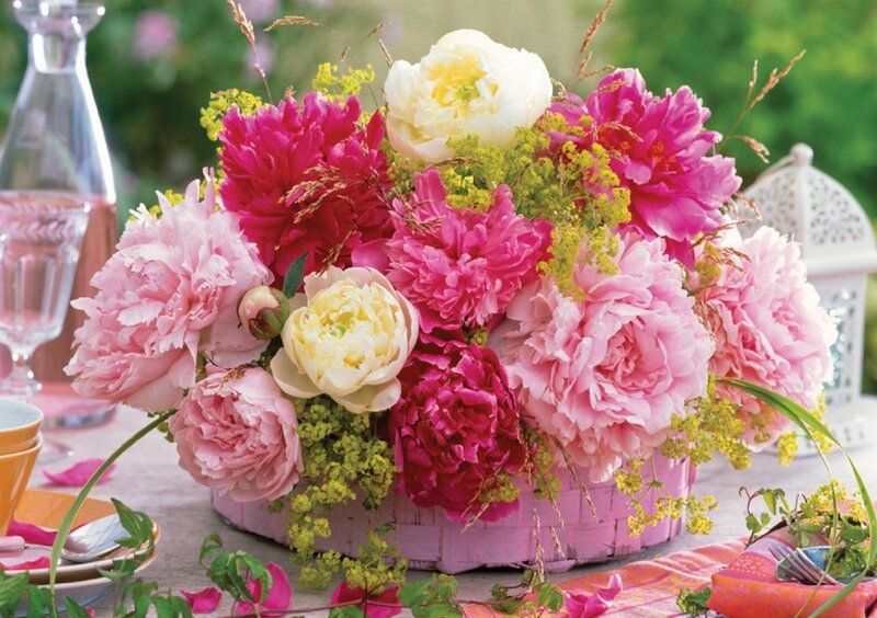 Peony Flower Arrangement — Pink, Festive, Afternoon, Photograph