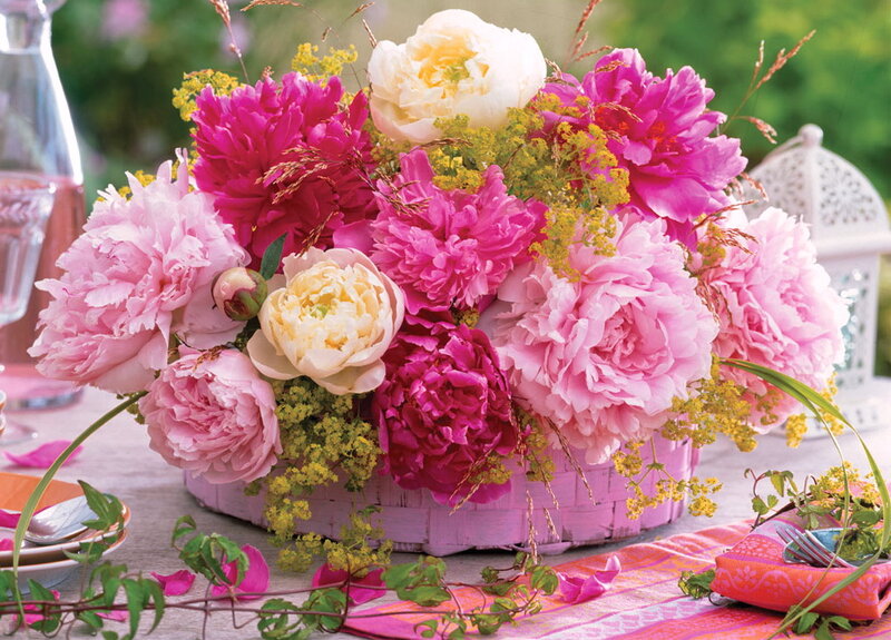 Peony Flower Arrangement — Pink, Festive, Afternoon