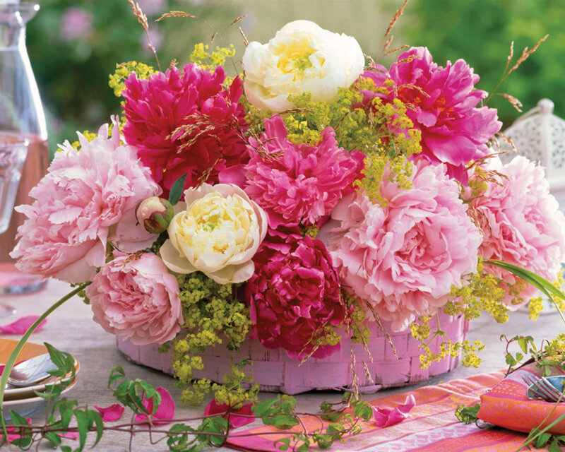 Peony Flower Arrangement — Pink, Festive