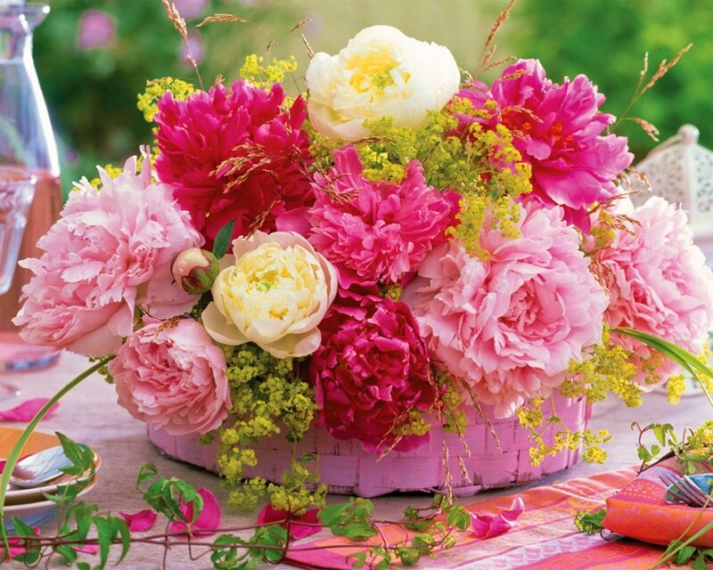 Peony Flower Arrangement — Pink, Vibrant