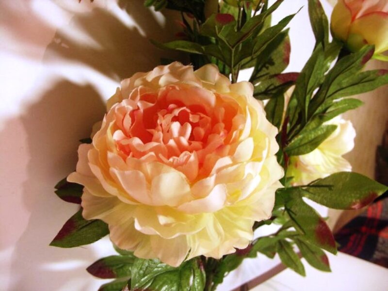 Peony Flower Bouquet