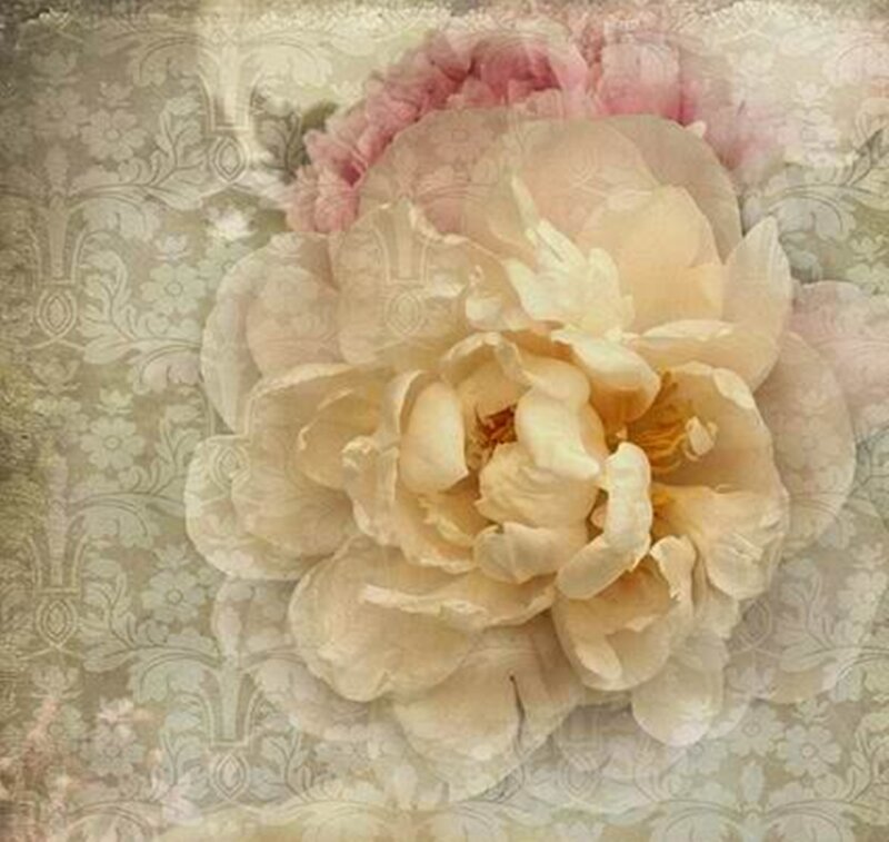 Peony Flower on Patterned Background