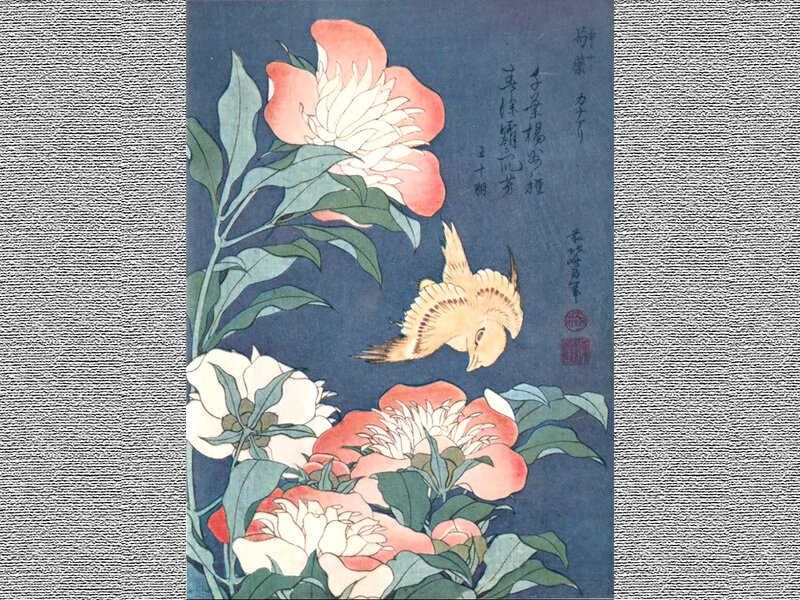Peony Flowers and Bird — Blue
