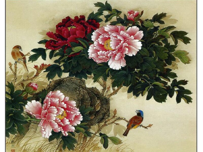 Peony Flowers and Birds — Pink, Serene