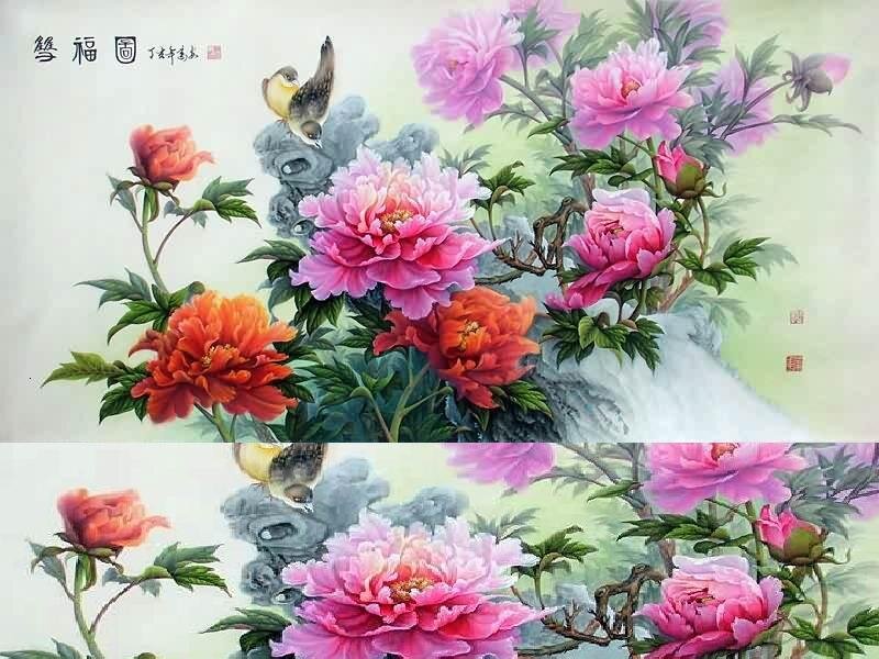 Peony Flowers and Birds — Pink