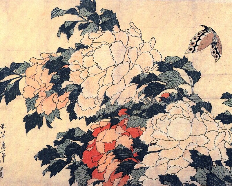 Peony Flowers and Butterfly — White