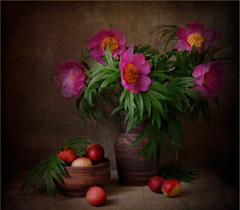 Peony Flowers and Fruit — Pink