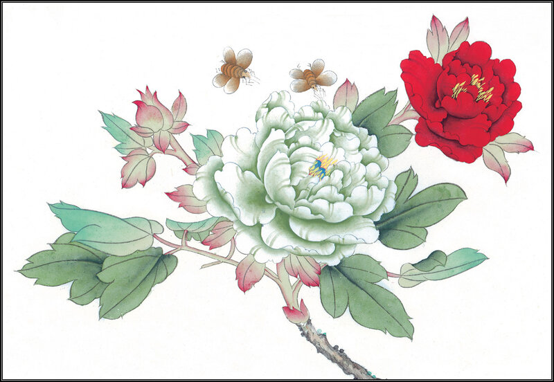 Peony Flowers and Insects