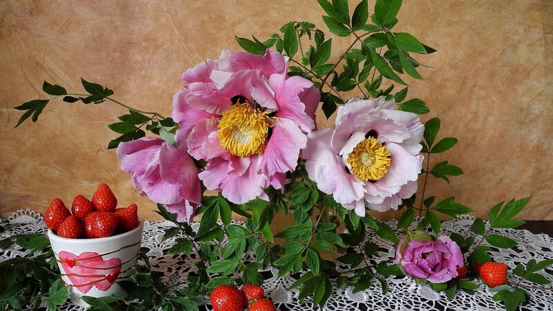 Peony Flowers and Strawberries — Pink, Serene