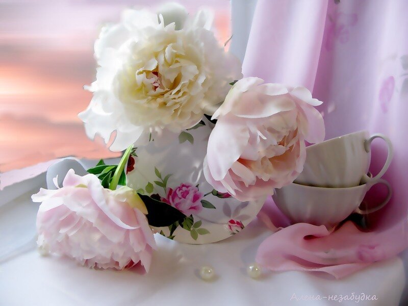 Peony Flowers and Teacups