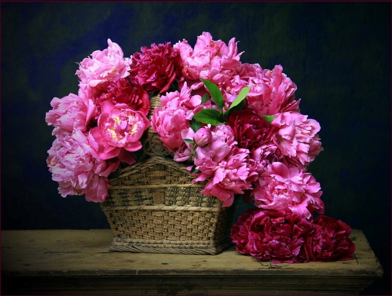 Peony Flowers in Basket