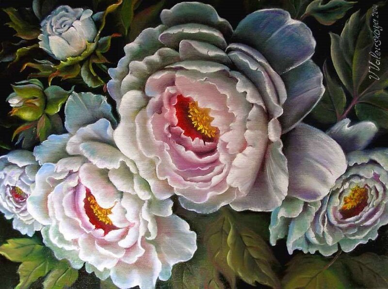 Peony Flowers in Bloom — White, Serene