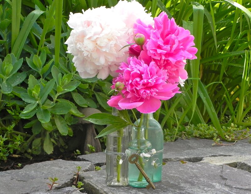 Peony Flowers in Bottles