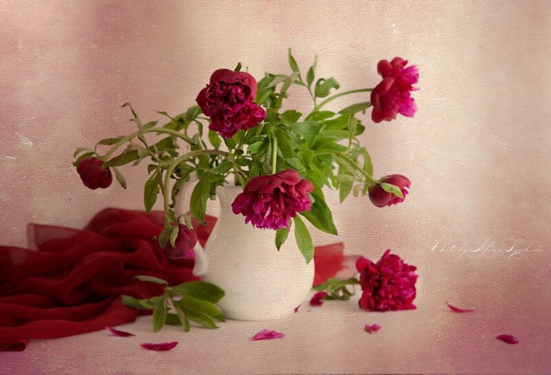 Peony Flowers in Vase — Pink, Serene, Painting