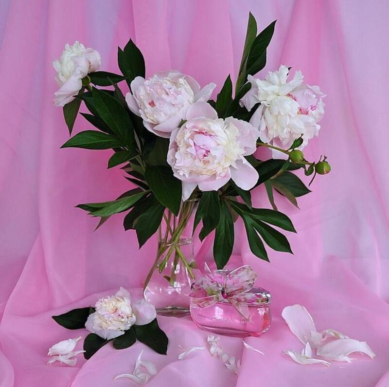 Peony Flowers in Vase — Pink, Serene, Photograph, Perfume Bottle