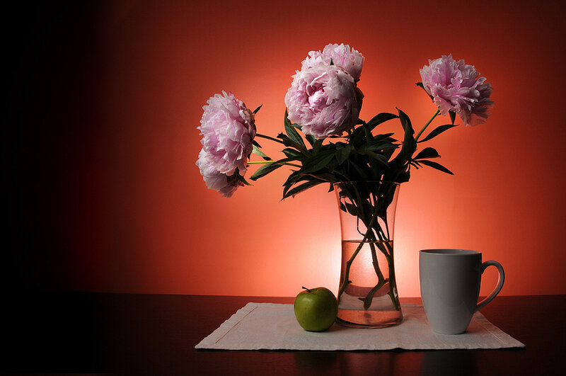 Peony Flowers in Vase — Red