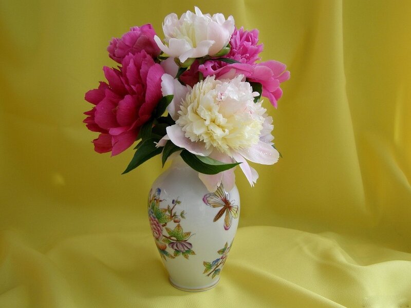 Peony Flowers in Vase — Yellow