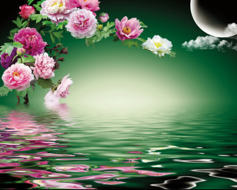 Peony Flowers in Water