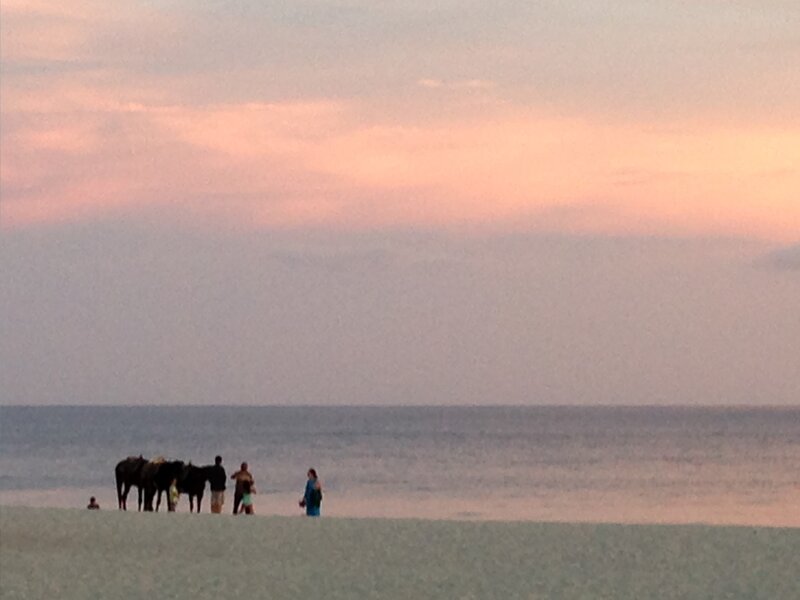 People and Horses on Beach