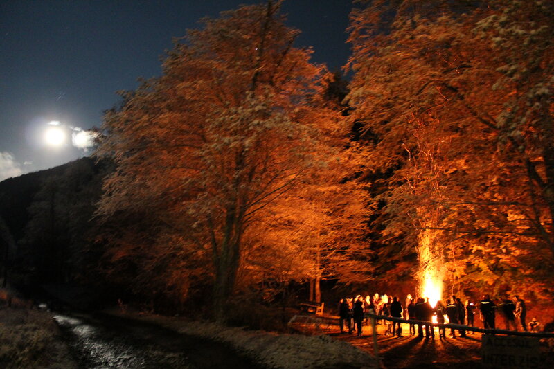 People Around Bonfire — Orange