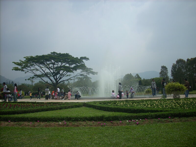 People at a park with fountain