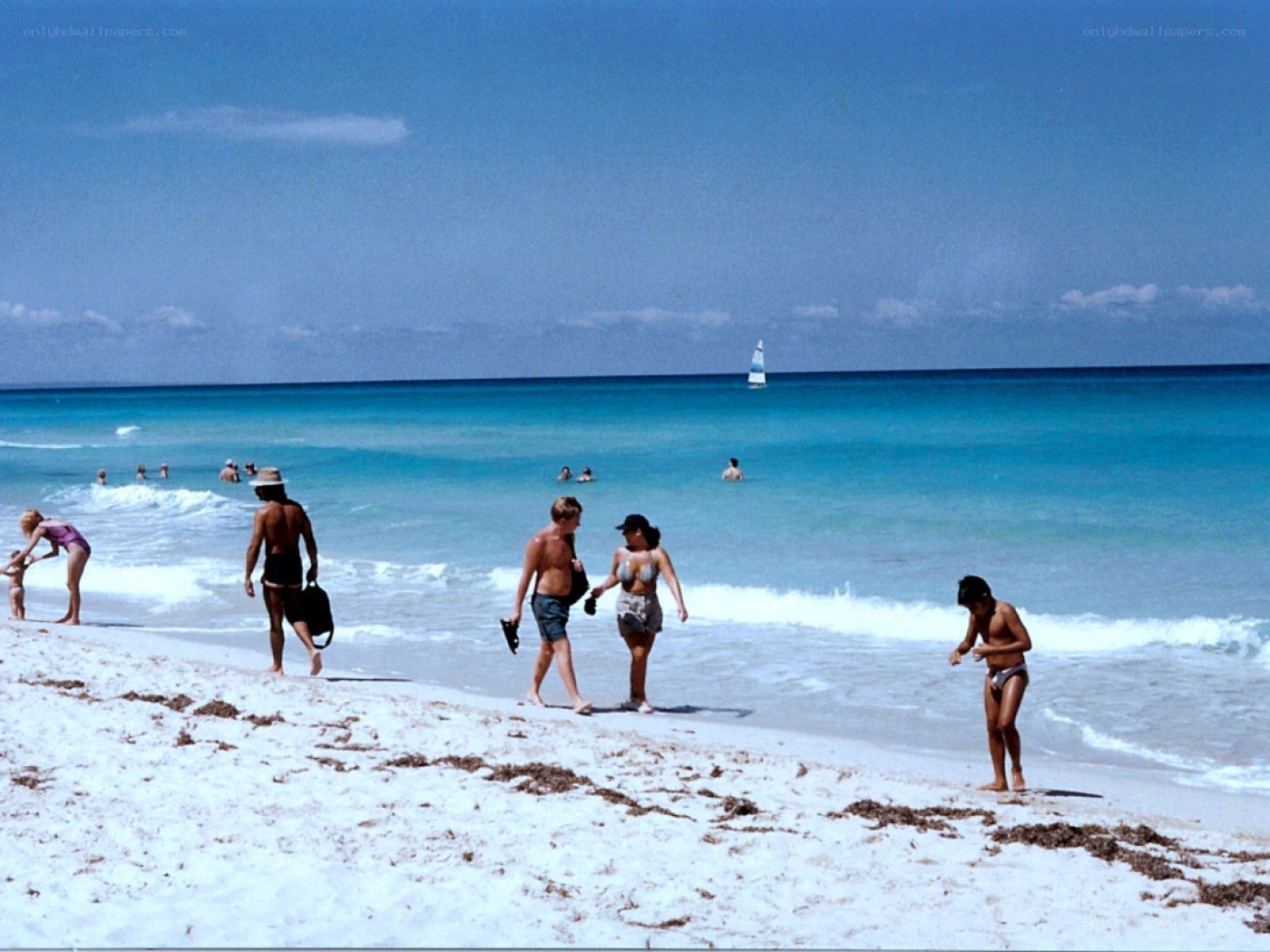 People at a sunny beach