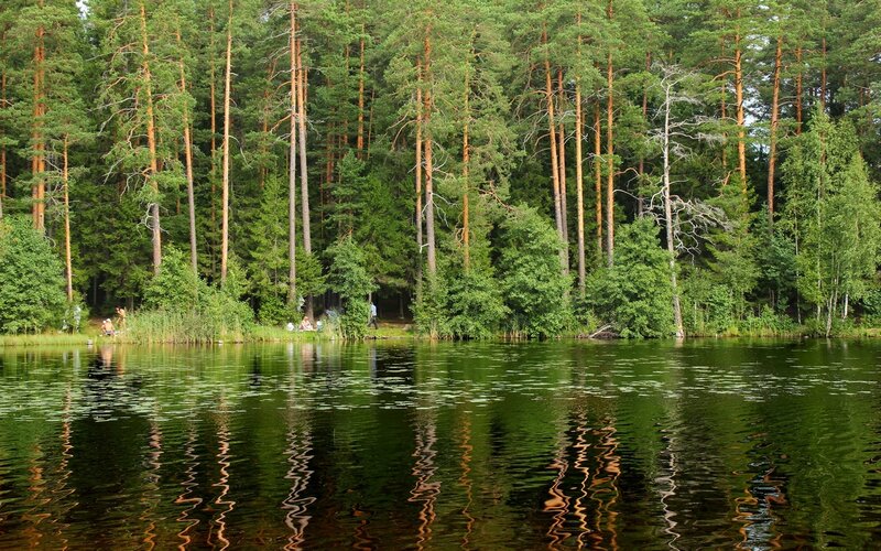 People at Lakeside Forest