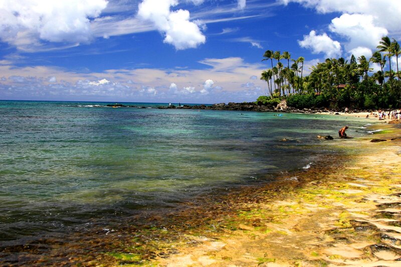 People at Tropical Beach — Blue, Serene, Afternoon, Photograph, Palm Trees