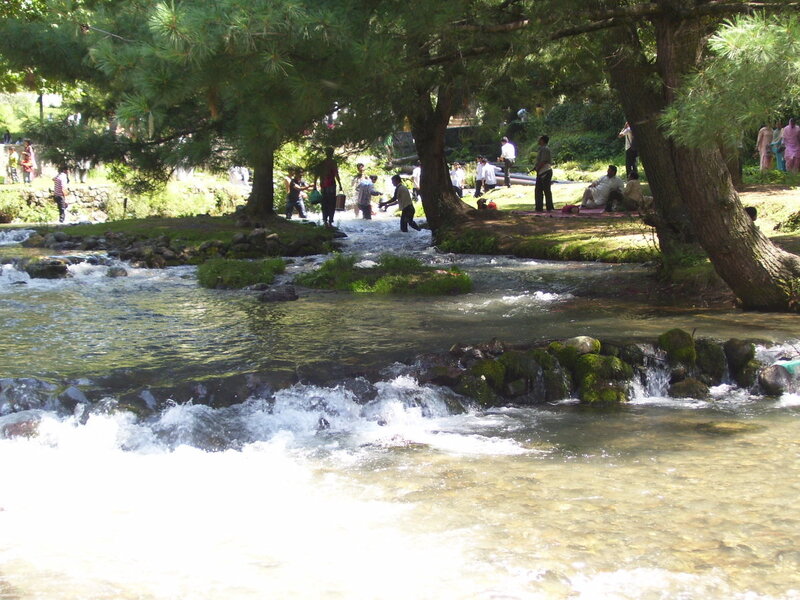 People by a river under trees