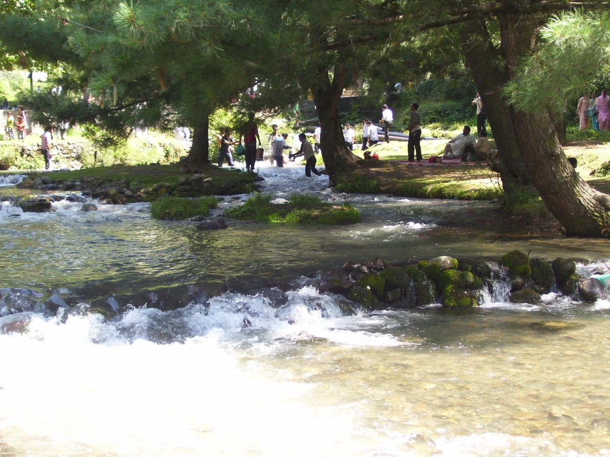 People by a river under trees