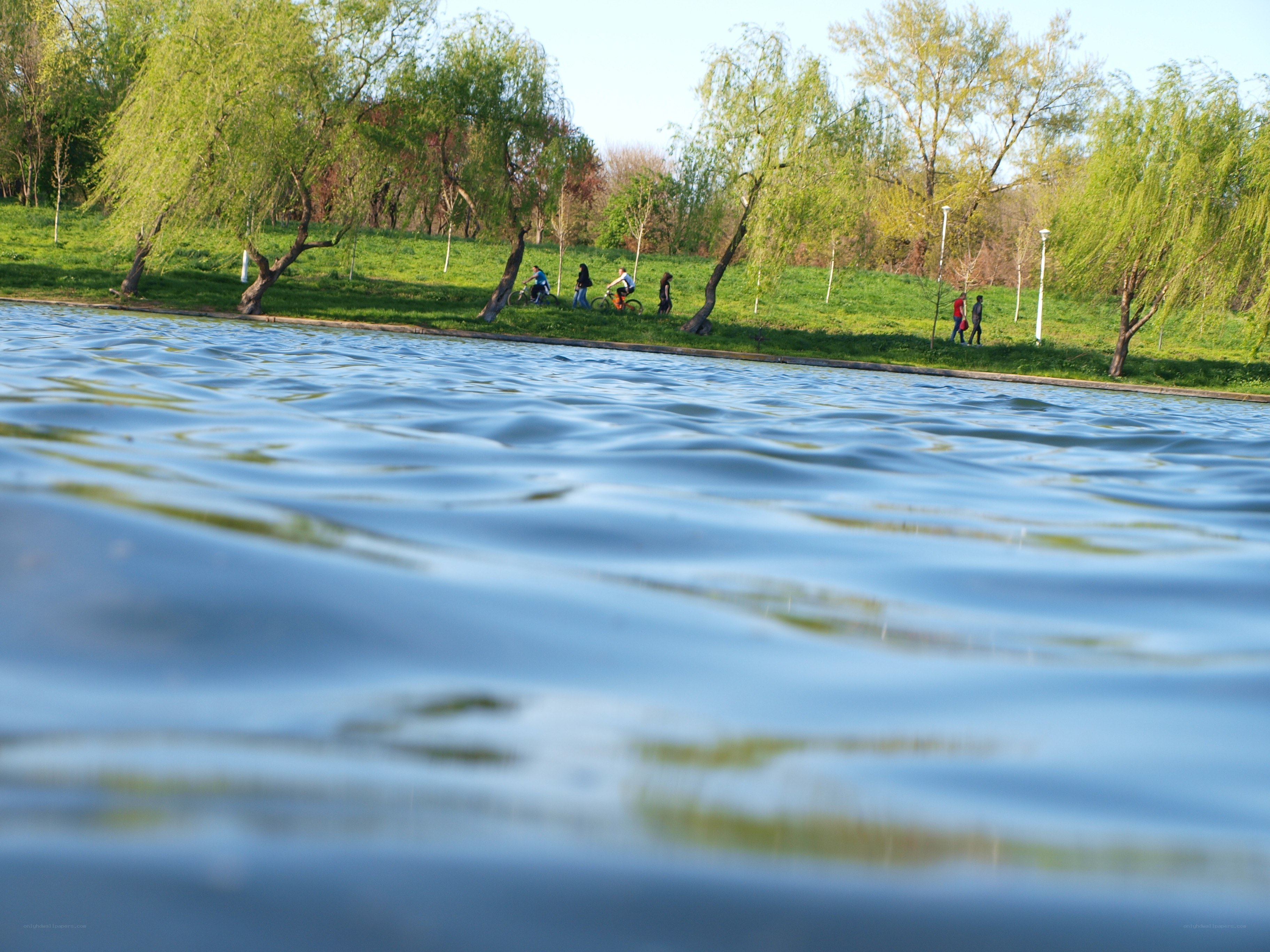 People by the lake in spring