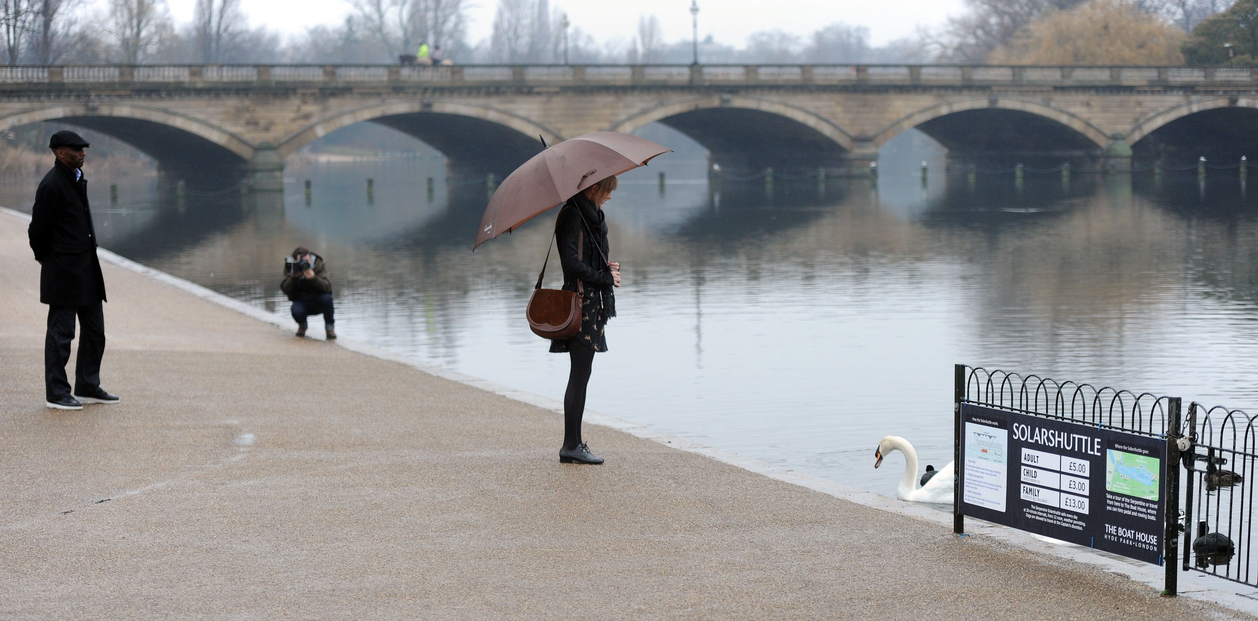 People by the river with swan