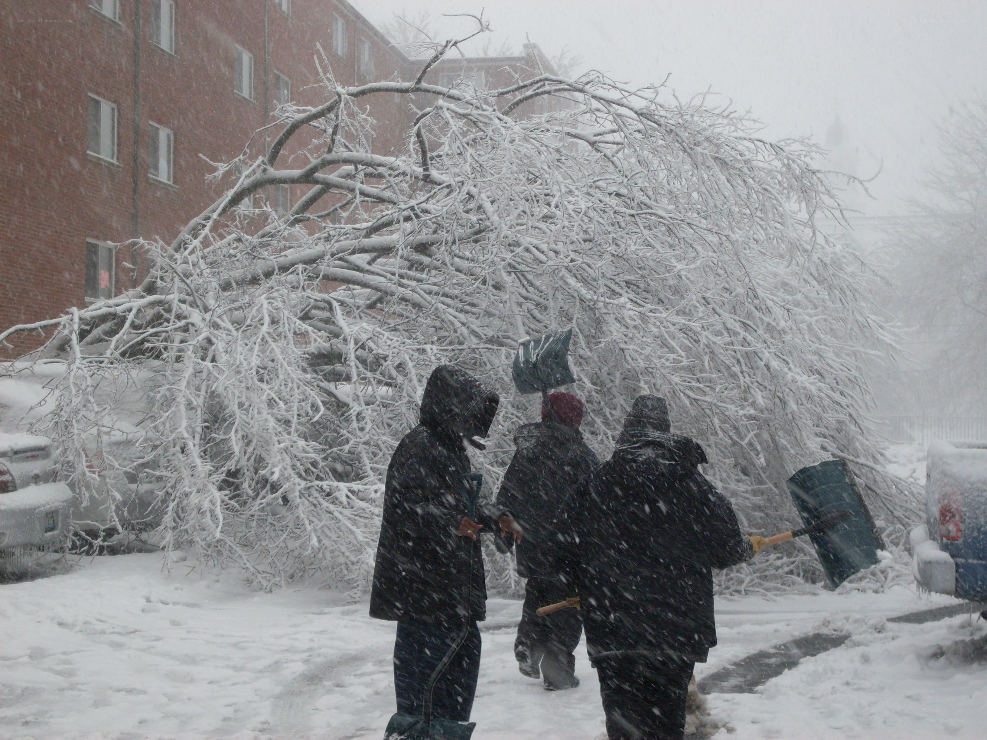 People clearing snow after storm