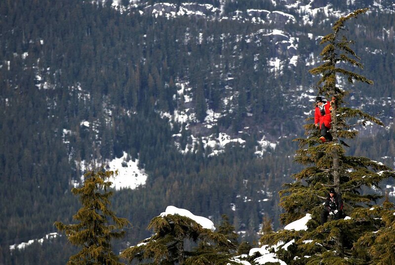 People climbing a tree in the mountains