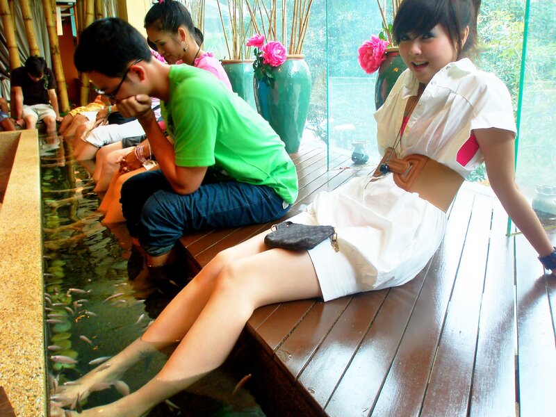 People enjoying fish spa