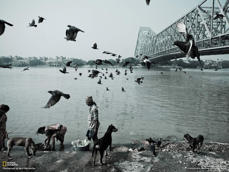 People feeding birds by a river