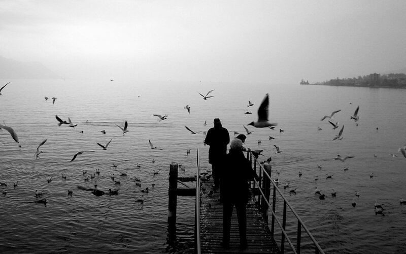 People feeding birds on a pier