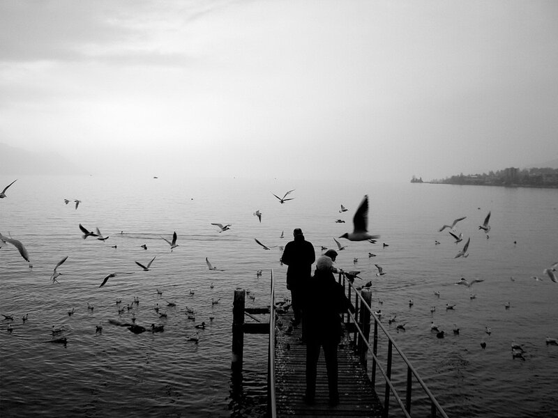 People feeding birds on a pier