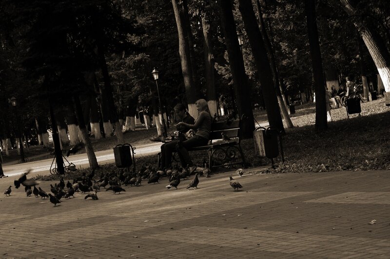 People feeding pigeons in a park