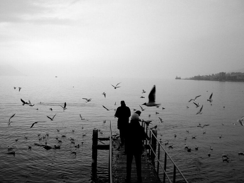 People Feeding Seagulls