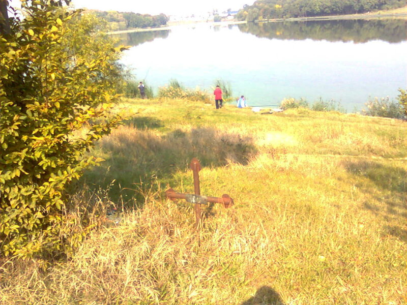 People fishing by a lake