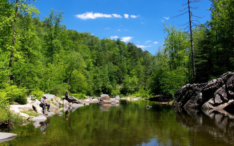 People fishing by a river